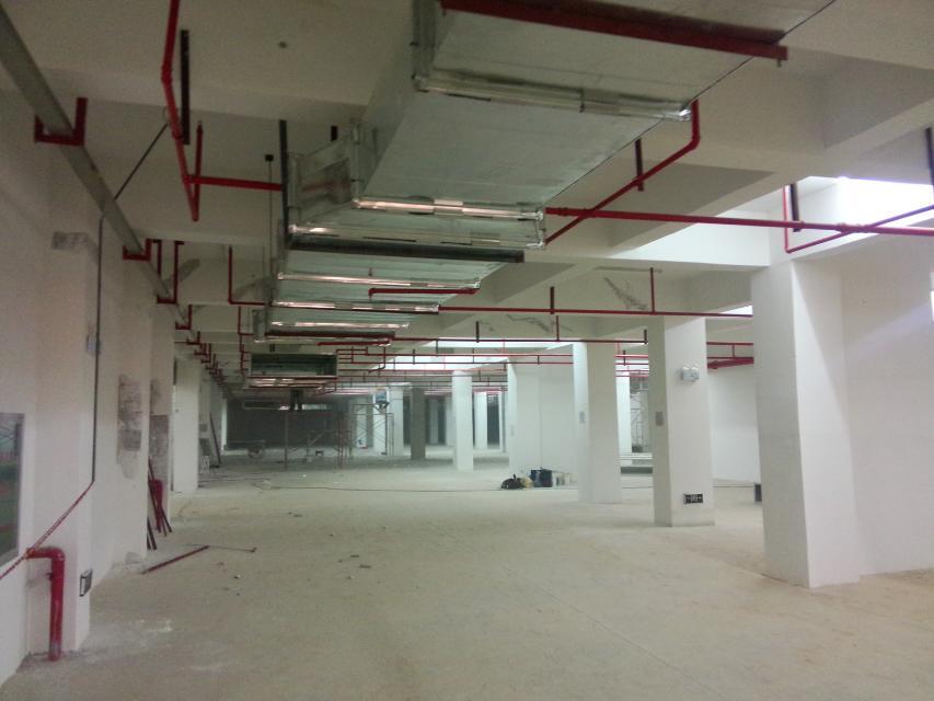 psb (3).jpg